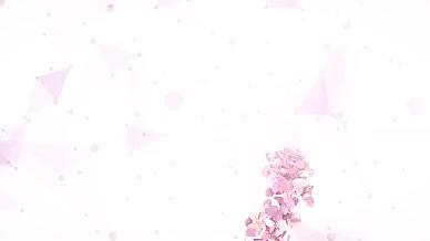 唯美粉色花瓣婚礼相册视频的预览图